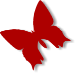 butterfly r 4