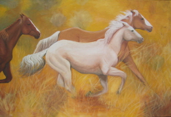 3horse