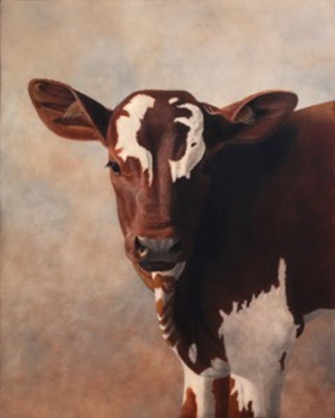 Baby Bull 1