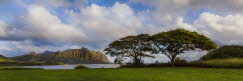 Koolau+Pano