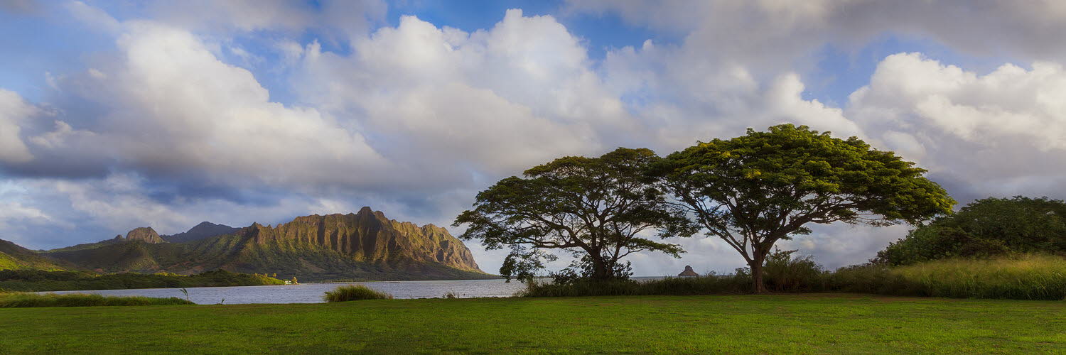 Koolau+Pano
