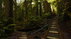 Pathways