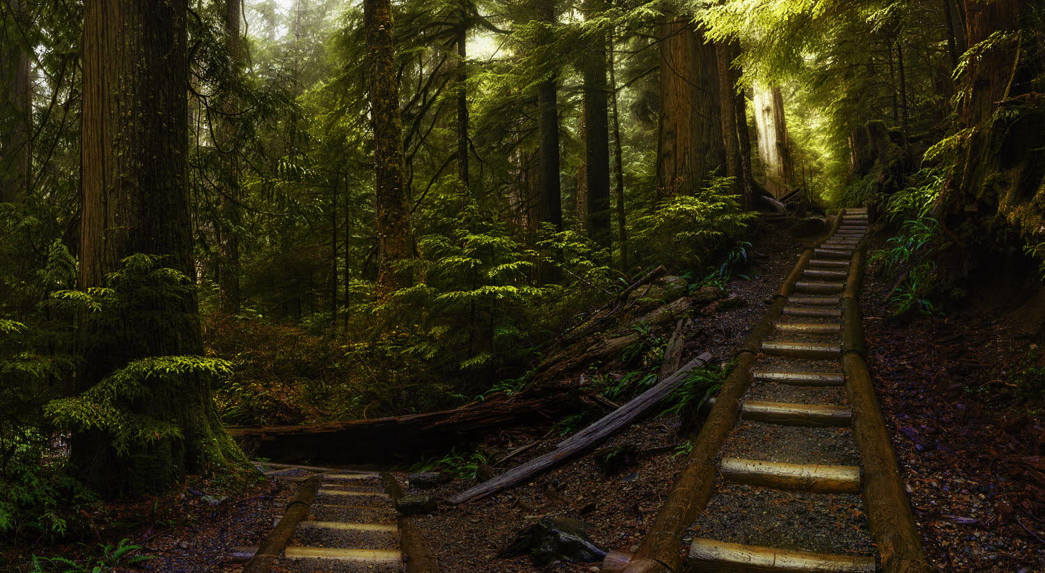 Pathways