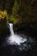 Punchbowl+falls