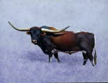 Rodeo Max