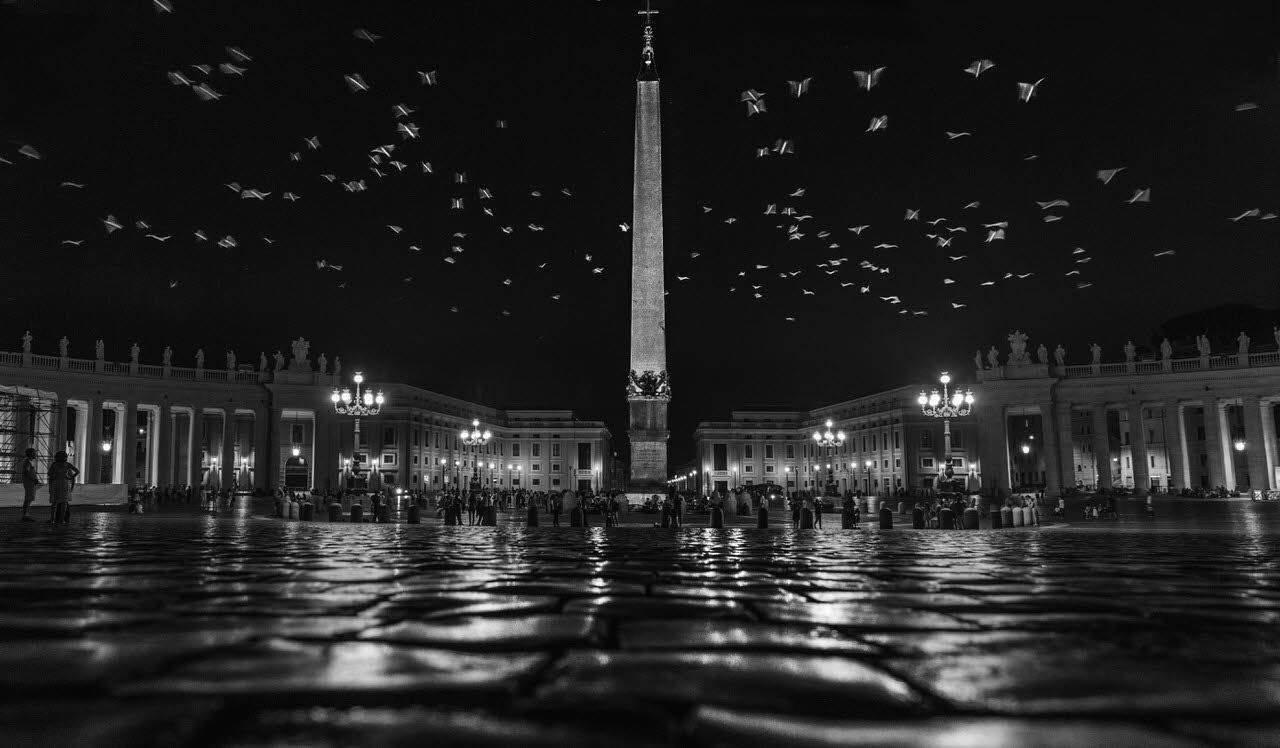 St. Peters birds