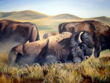 resting in grass
