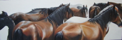 rodeo crowd