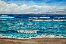 trade winds 